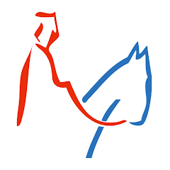 Bamberg App Icon